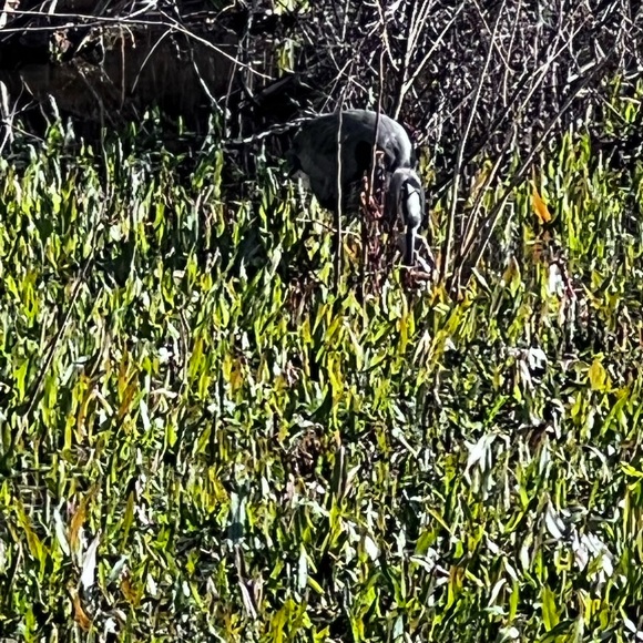 Meet your Posher, Nrdygrl - Picture 3 of 5